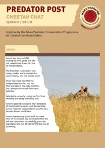 thumbnail of Predator Post – Cheetah Chat Second Edition