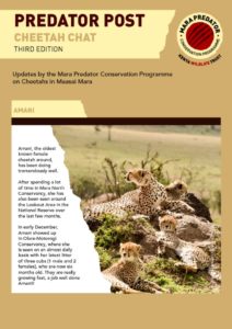 thumbnail of Predator Post – Cheetah Chat Third Edition
