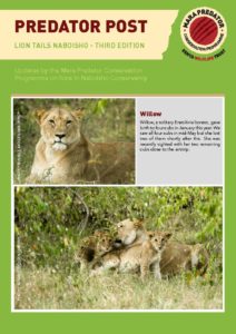 thumbnail of Lion Tails_Naboisho_Third Edition