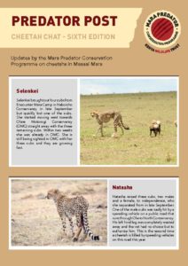 thumbnail of Cheetah Chat 6th Edition