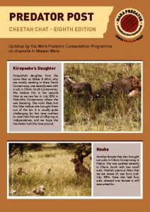 thumbnail of Cheetah Chat 8th Edition