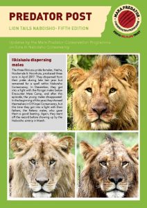 thumbnail of Lion Tails Naboisho 5th Edition