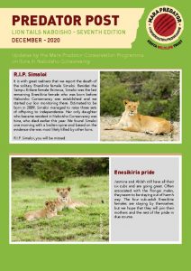 thumbnail of Lion Naboisho December 2020