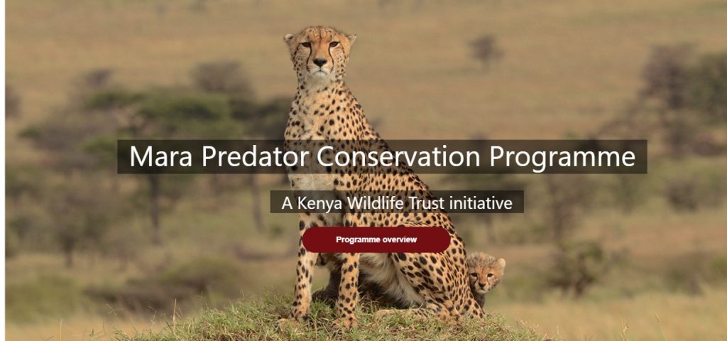 Mara Predator Conservation Programme – Conserving Predators in the ...