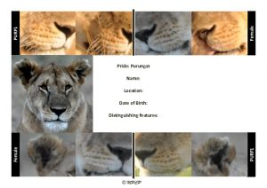 thumbnail of Purungat