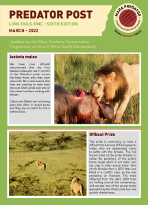 thumbnail of Lion Tails MNC March 2022