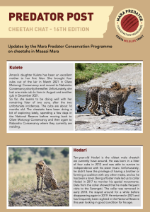 thumbnail of Cheetah Chat 16th Edition June 2022