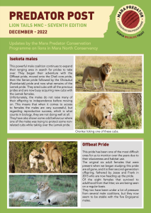 thumbnail of Lion Tails MNC Dec 2022 Web Version