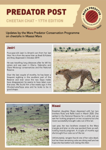 thumbnail of Cheetah Chat 17 2022 Web Version