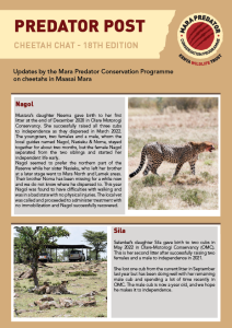 thumbnail of Cheetah Chat-18th Edition 2023