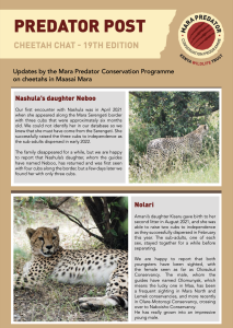 thumbnail of 19th Edition Cheetah Chat