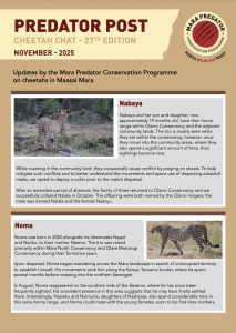 thumbnail of cheetah chat 27
