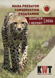 thumbnail of Q1 2026 MPCP