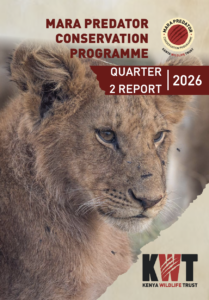 thumbnail of Q2 2026